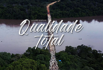 LEILÃO VIRTUAL QUALIDADE TOTAL